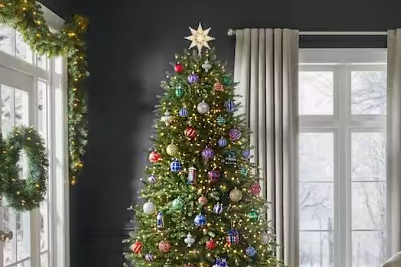 The Home Depot - Westgate Central Austin Seasonal Tree Lot