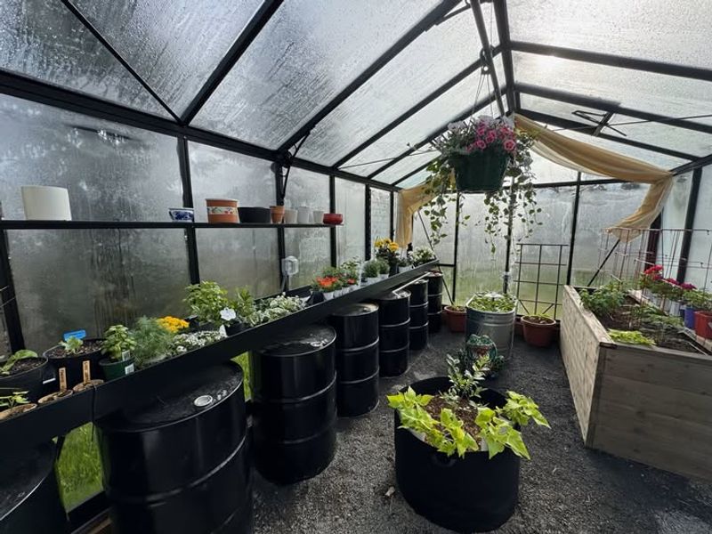 Thermal Mass Water Barrels