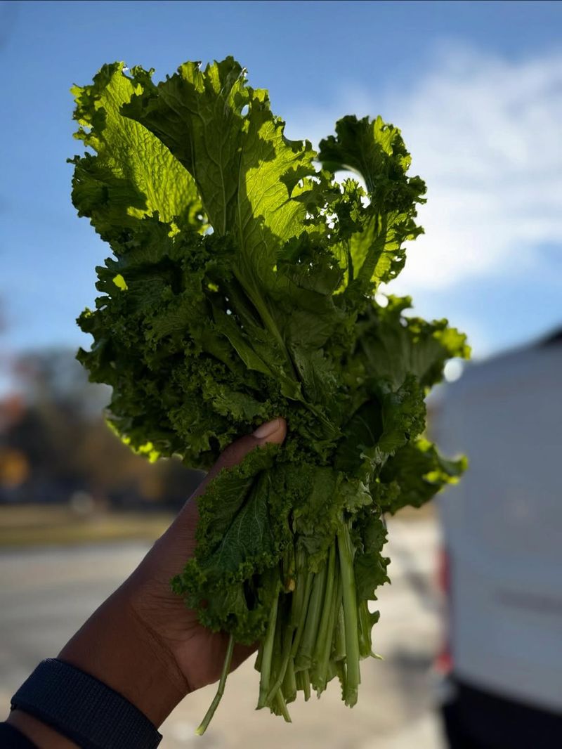 Mustard Greens