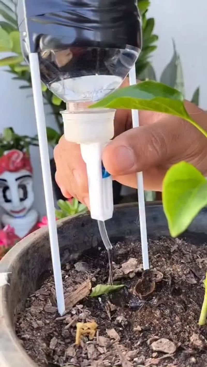 DIY Bottle Drip Irrigation Trick