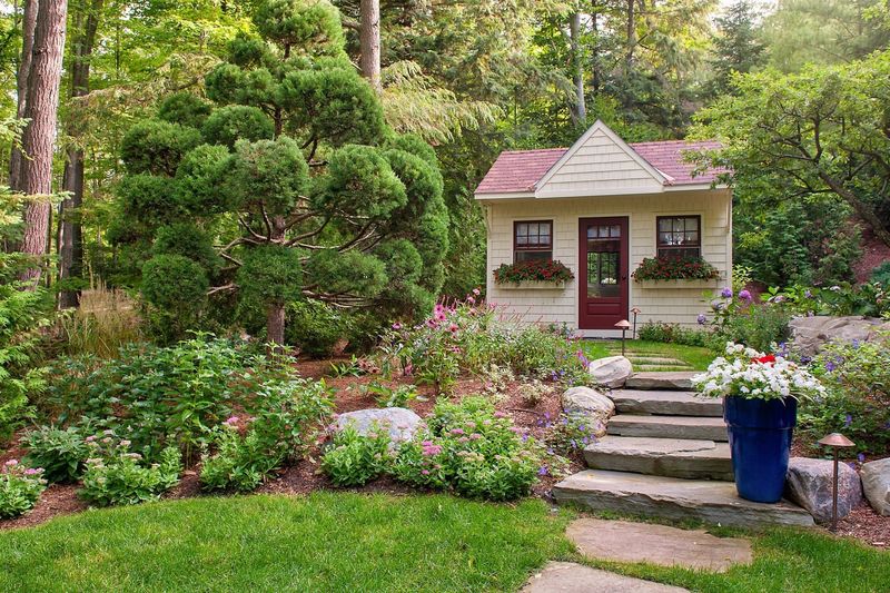 Pollinator-Friendly Plants Support Kansas Ecosystems