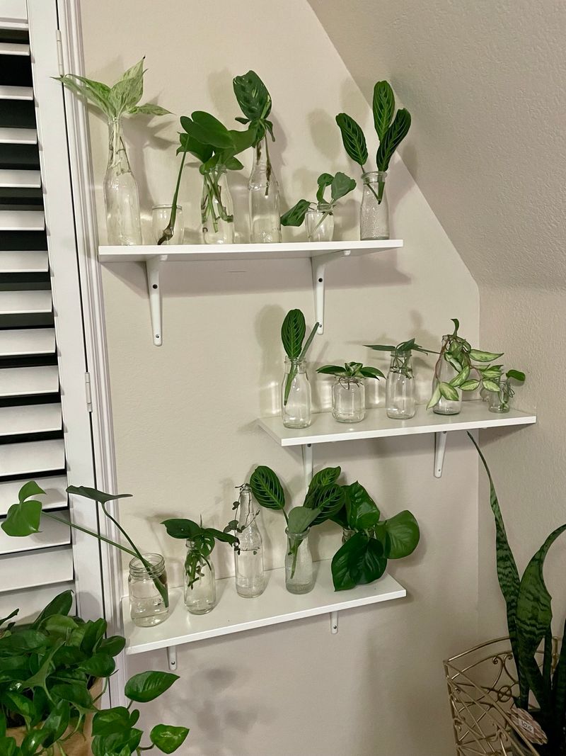 Requires Minimal Space And Maintenance