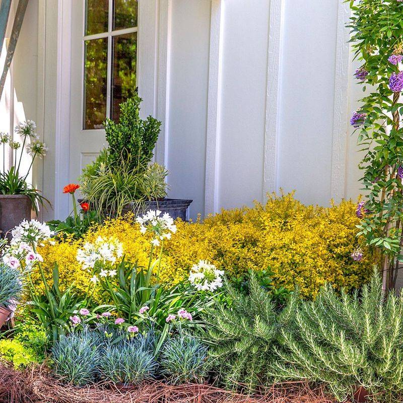 How This Trend Boosts Curb Appeal