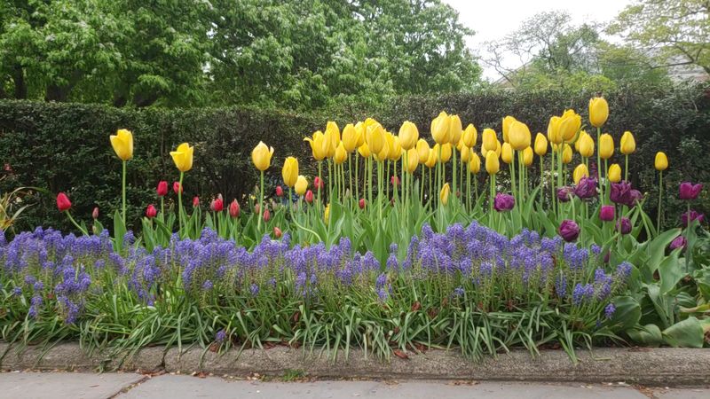The Conservatory Garden in Central Park