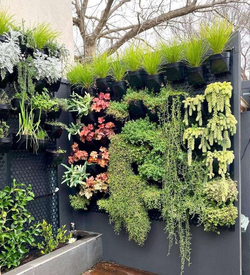 Create Living Walls with Vertical Gardens
