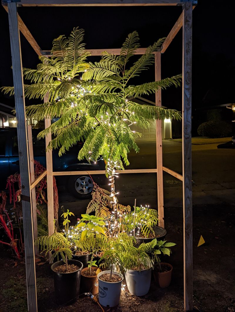 Bring Garden Lights Or Heat Sources Near Plants