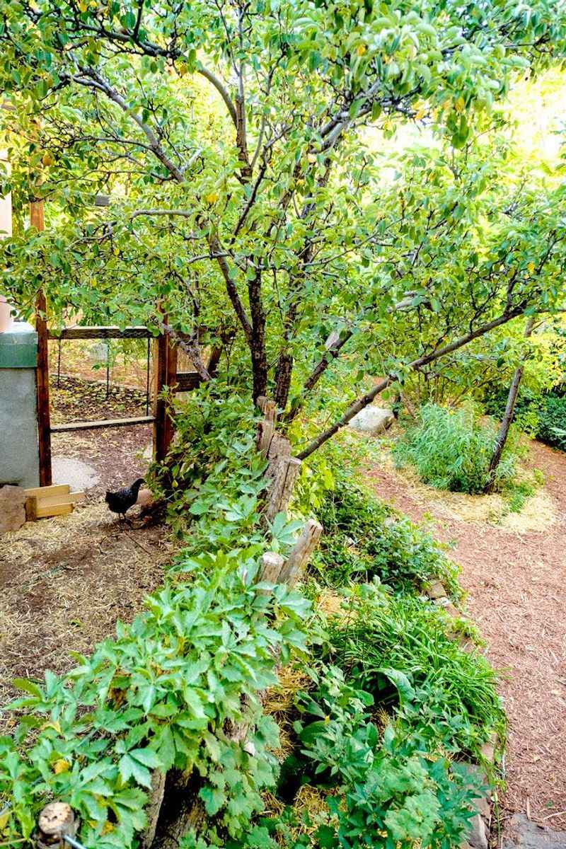 Teaching Kids Valuable Life Skills