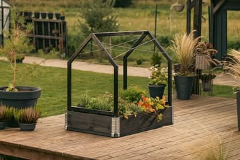 Winter Sowing Connects You to Future Seasons