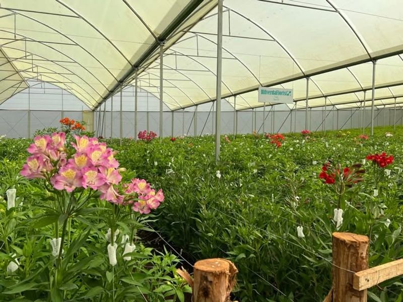 Staff Training Focuses On Flower Cultivation Techniques