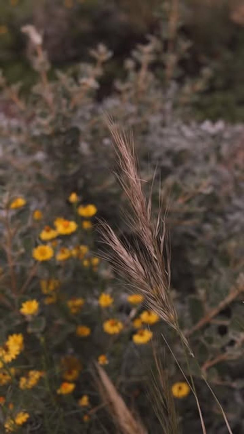 Maintenance Takes Minutes Instead of Hours