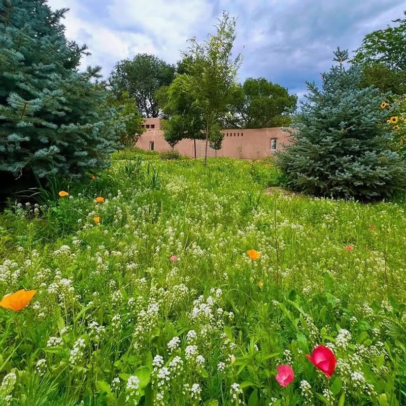 Pollinator Pathways Connect Neighborhoods