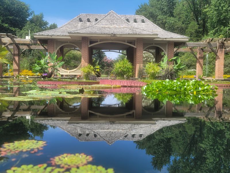 Aquatic Garden And Lily Collection
