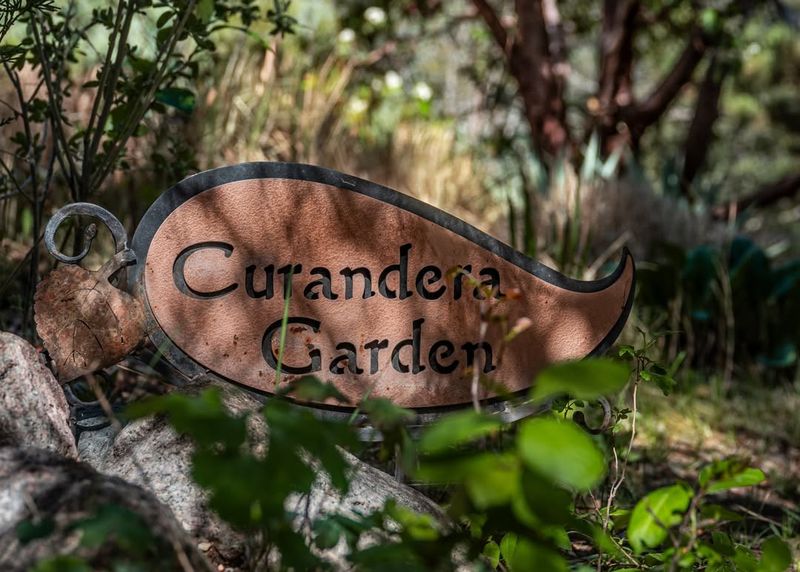 Curandera Garden Preserves Medicinal Plant Knowledge