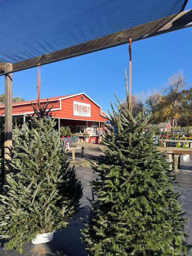 Split the Cost with Neighbors or Friends