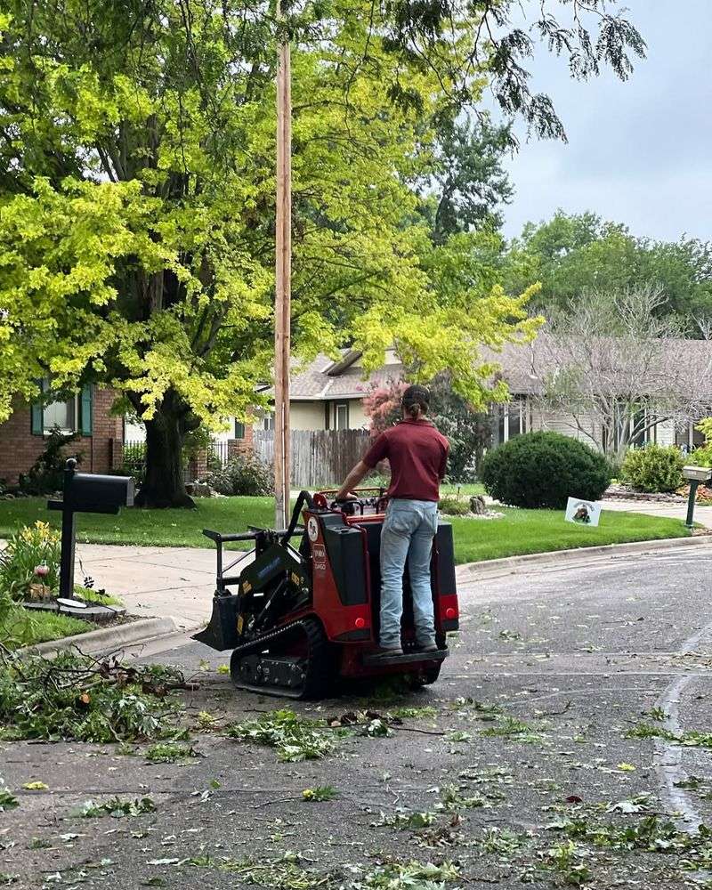Storm Cleanup Increased Woody Debris And Prompted New Guidelines