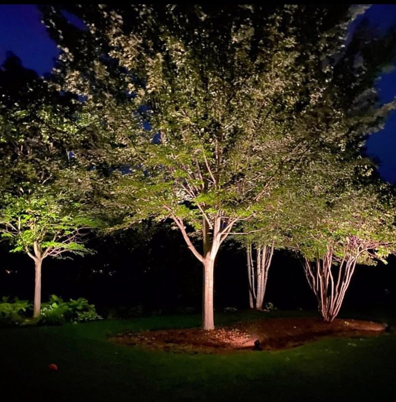 Turn On Outdoor Lights To Disrupt The Hog’s Confidence