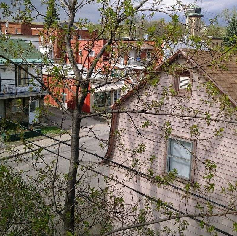 Pennsylvania Law On Trimming Overhanging Branches