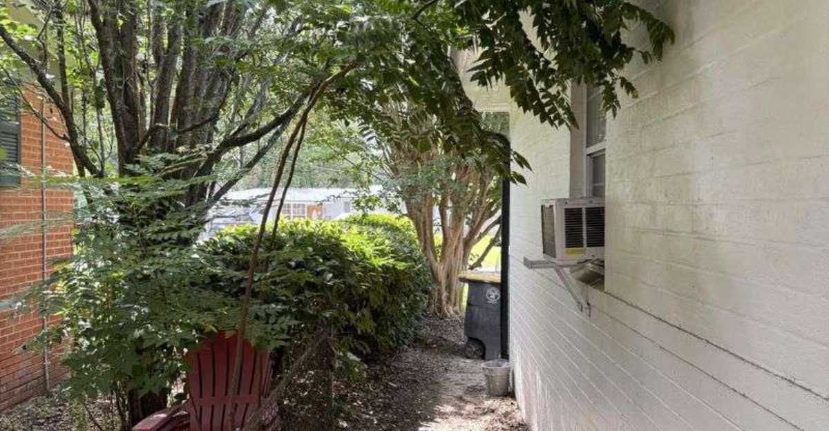 Can You Demand Tree Removal In Colorado If A Neighbor’s Tree Threatens Your Property