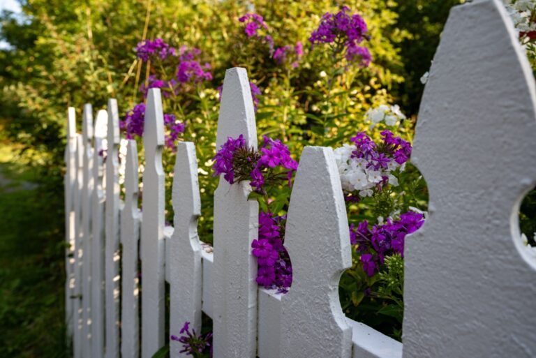 flowers growing over fence