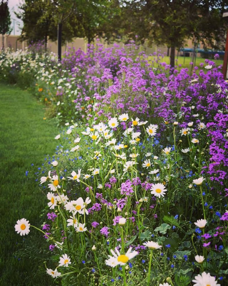 Check Pennsylvania Property Line Laws First