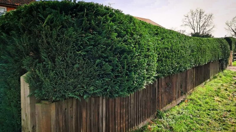 Property Line Laws Matter More Than You Think