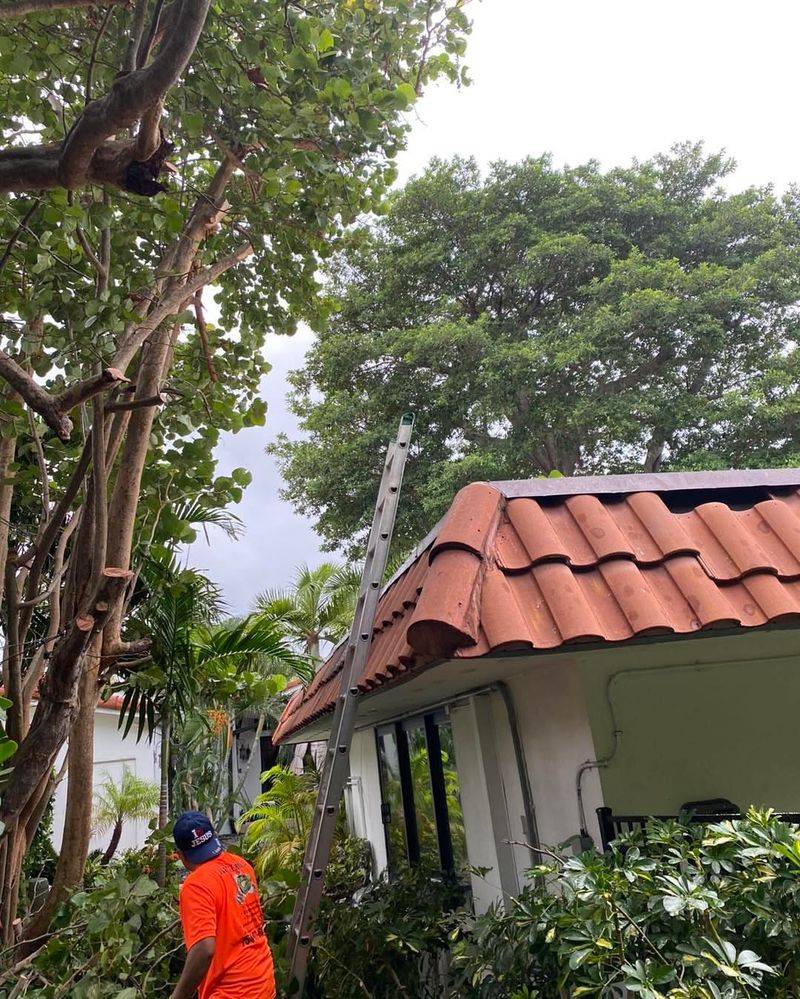 Georgia Follows The Self-Help Doctrine