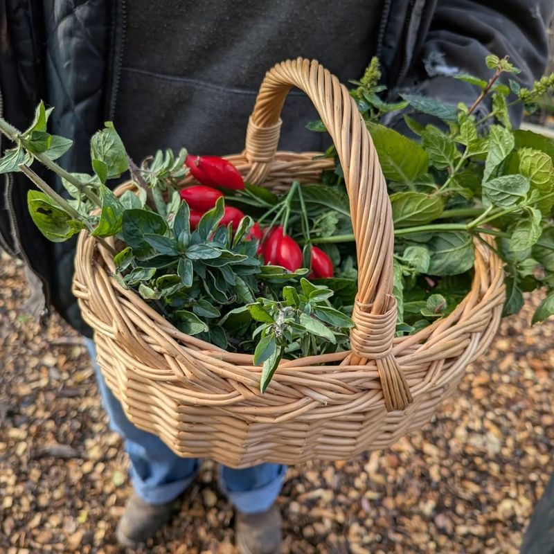 Pioneer Valley Community Plot