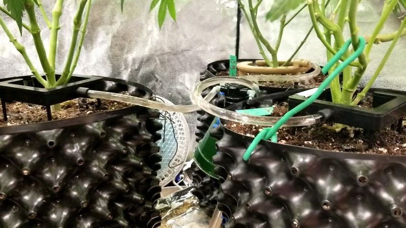 Drip Irrigation With Timers