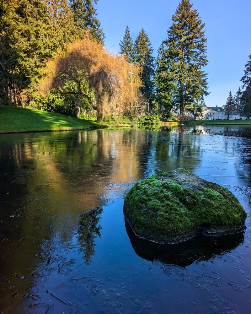 The Japanese Garden Offers Authentic Tranquility