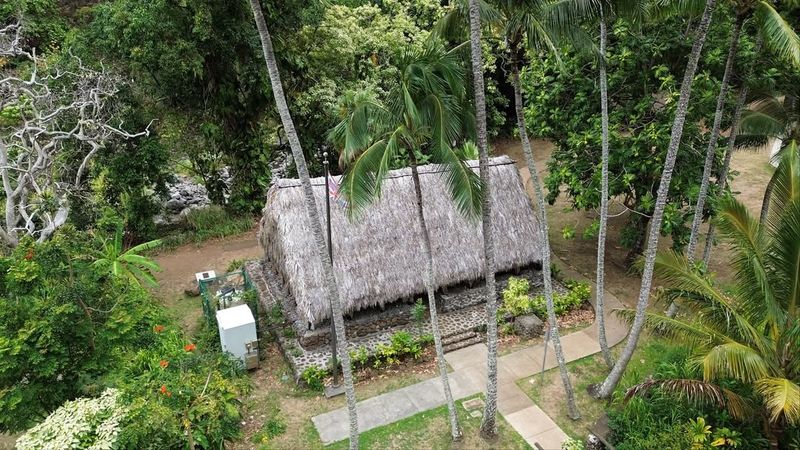 Thatched Roof Structures and Hale Designs