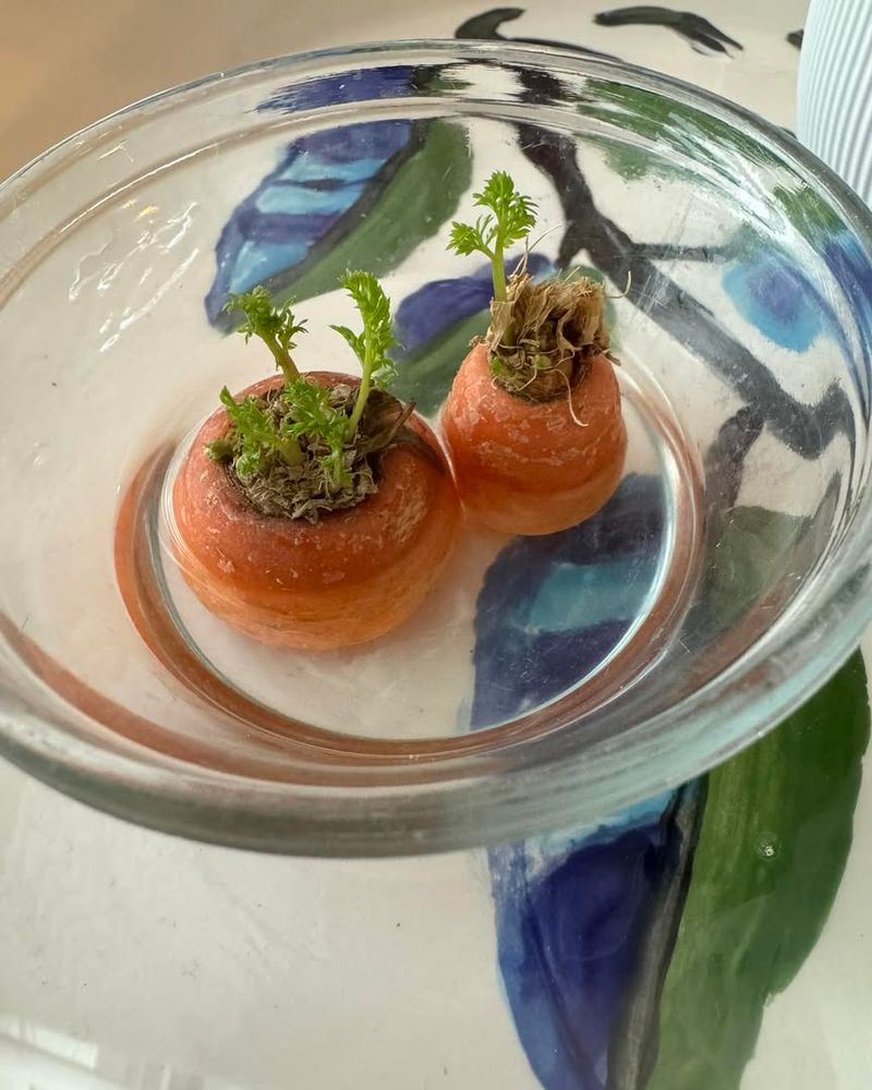 Carrot Tops Make Beautiful Greens