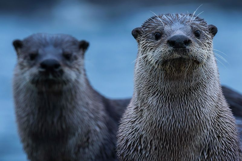 Document The Encounter With Photos And Notes