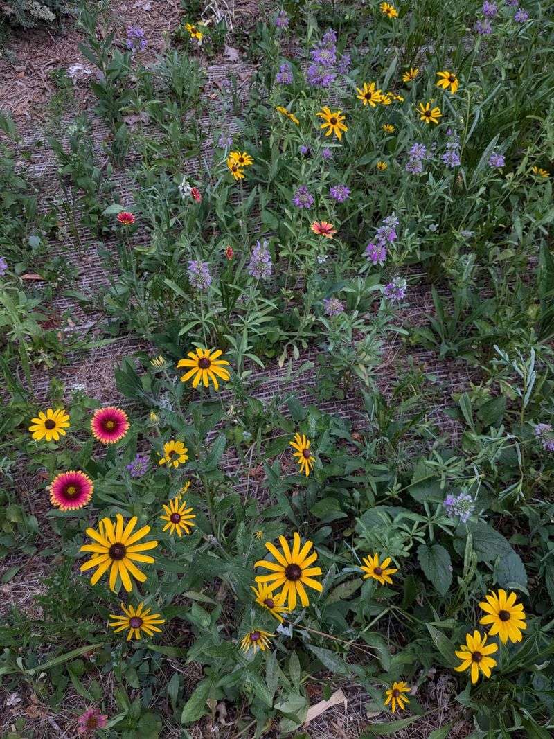 Talk With Your Neighbor Before Taking Action