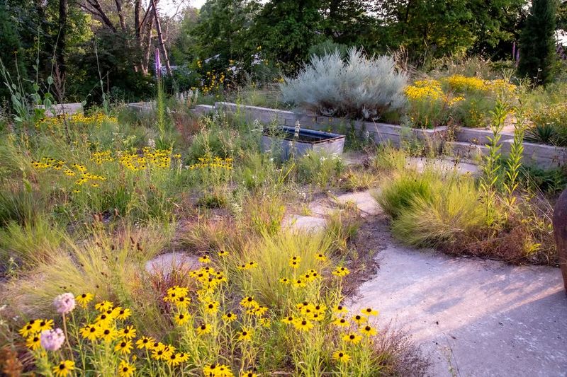 Succession Planting Extends Garden Interest