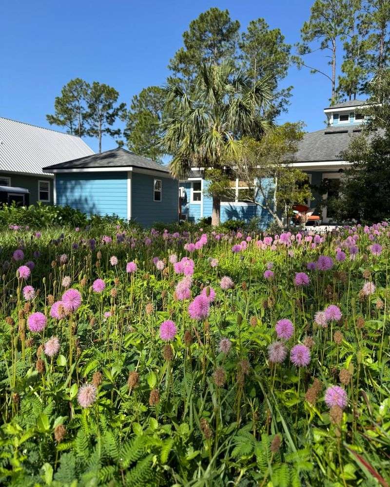 Property Value Increases With Native Landscaping