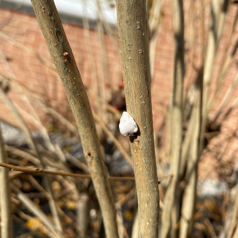 Prevention Strategies To Protect Your Landscape