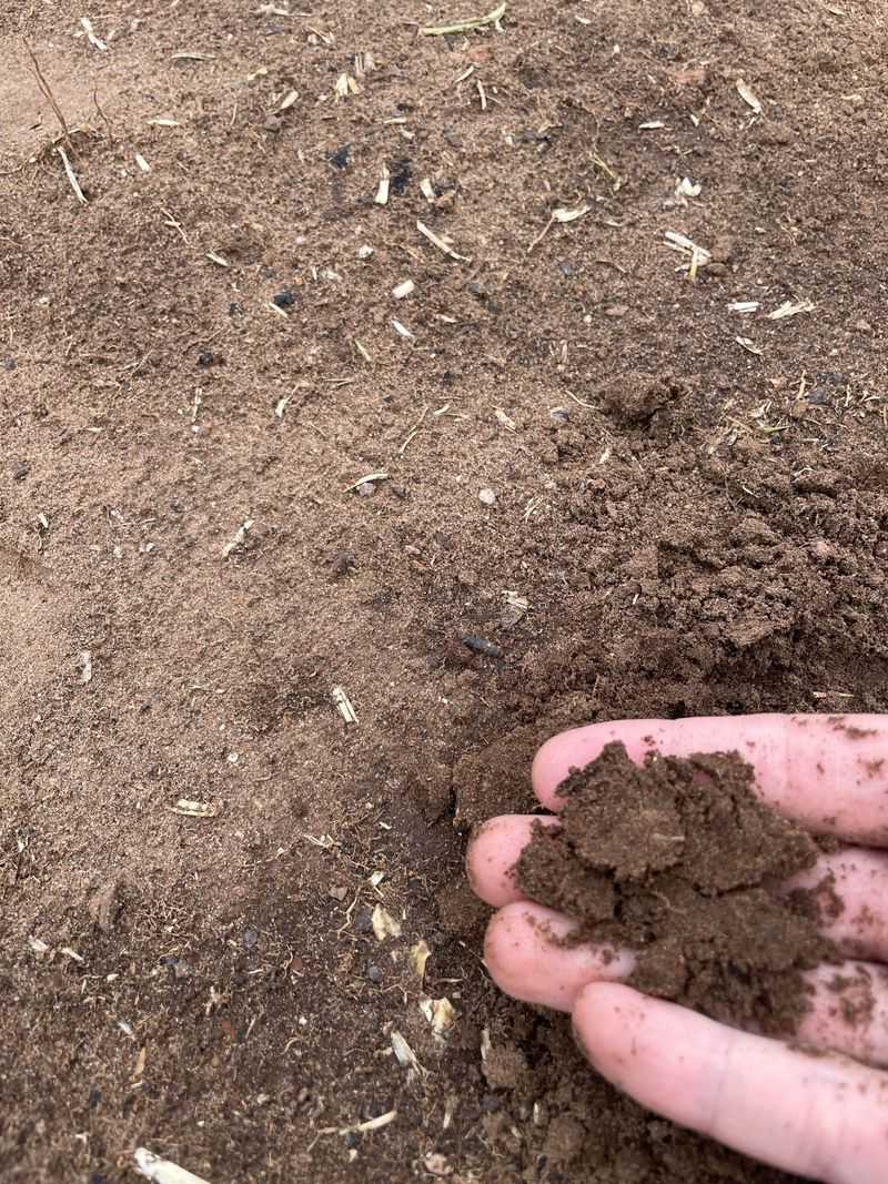 Leaded Gasoline Created Widespread Soil Pollution