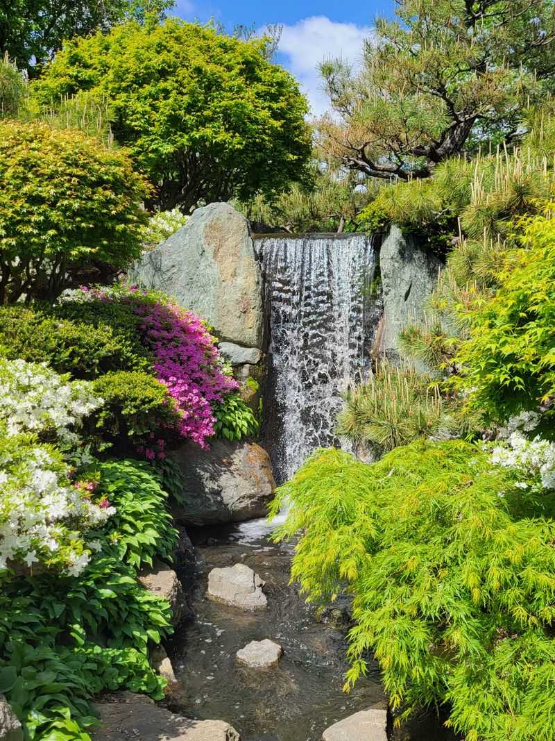 Native Plant Garden's Regional Flora Showcase