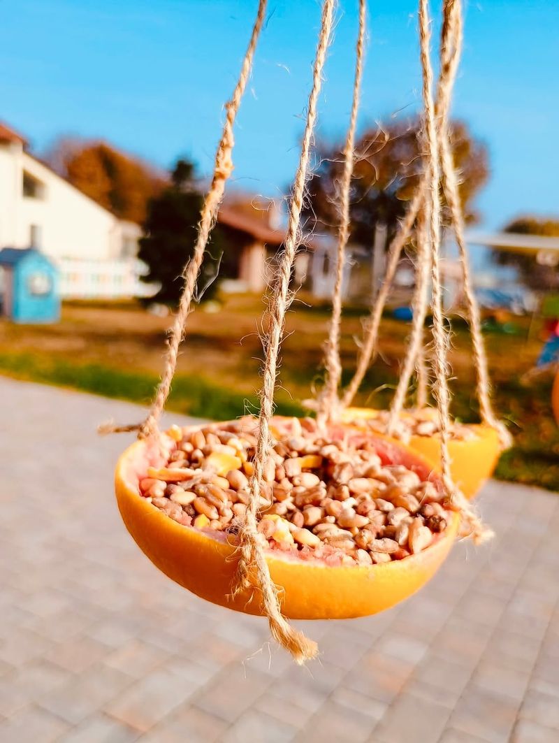 Spoiled or Moldy Food