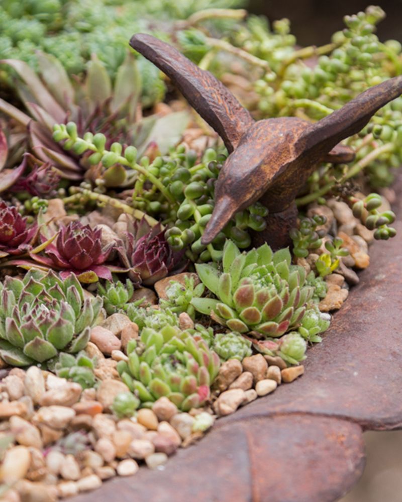 Maintain Cooler Temperatures To Slow Growth Naturally