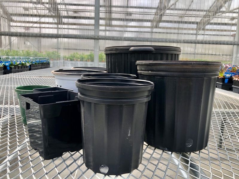 Empty and Store Vulnerable Containers Indoors