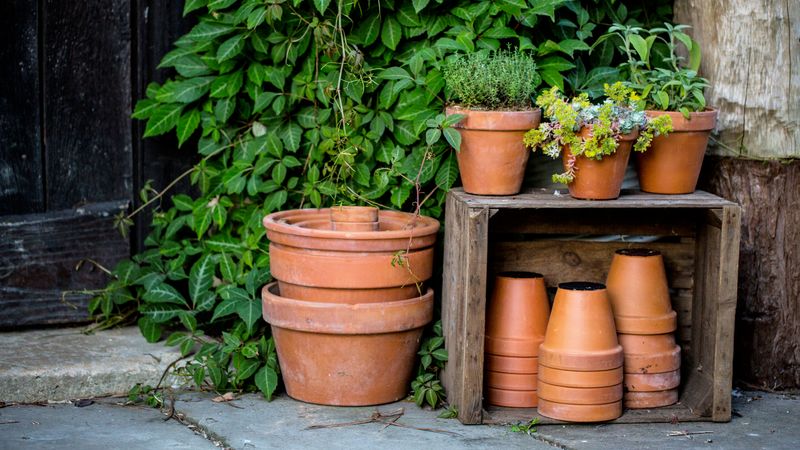 Empty And Dry Pots Completely