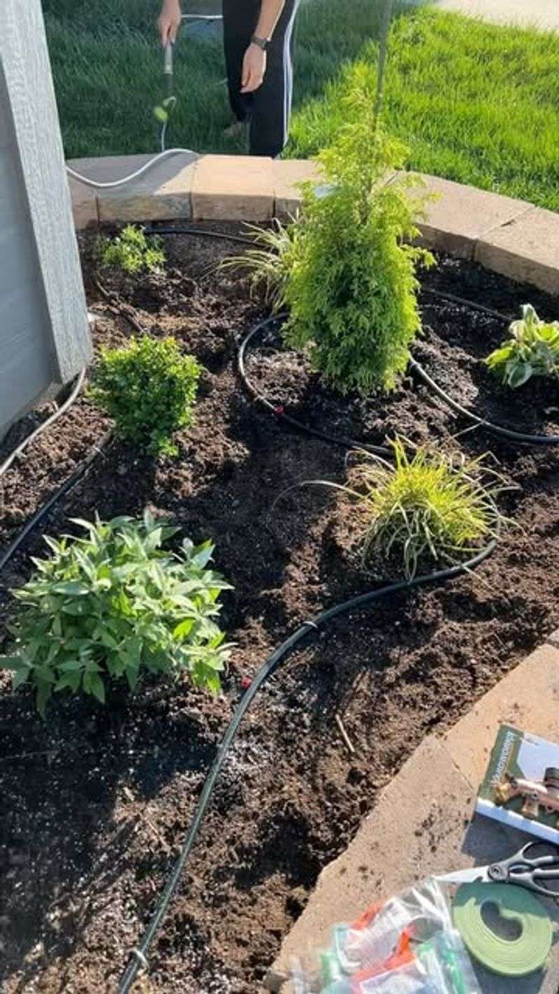 Set Up an Efficient Watering System Early