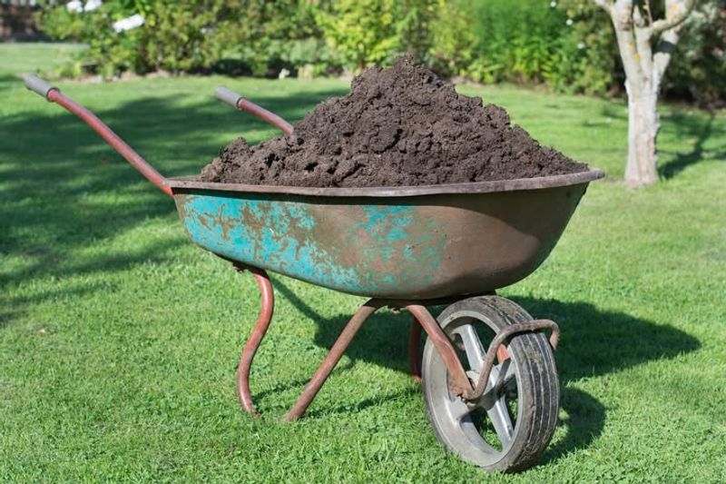 Apply Compost To Boost Soil Health