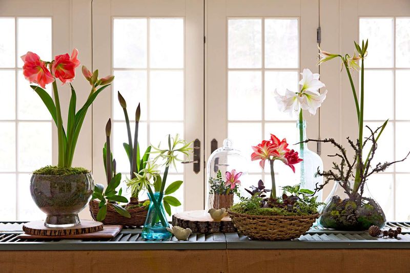 Use Proper Potting Technique And Container Selection