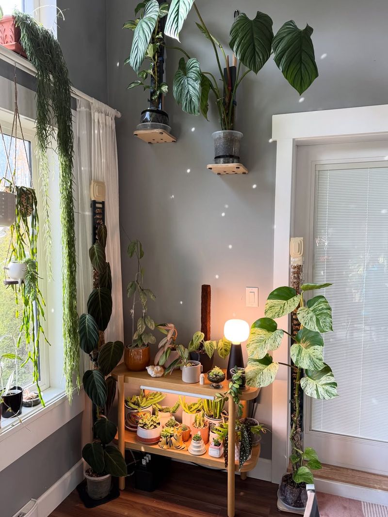 Calculate The Correct Light Intensity And Coverage