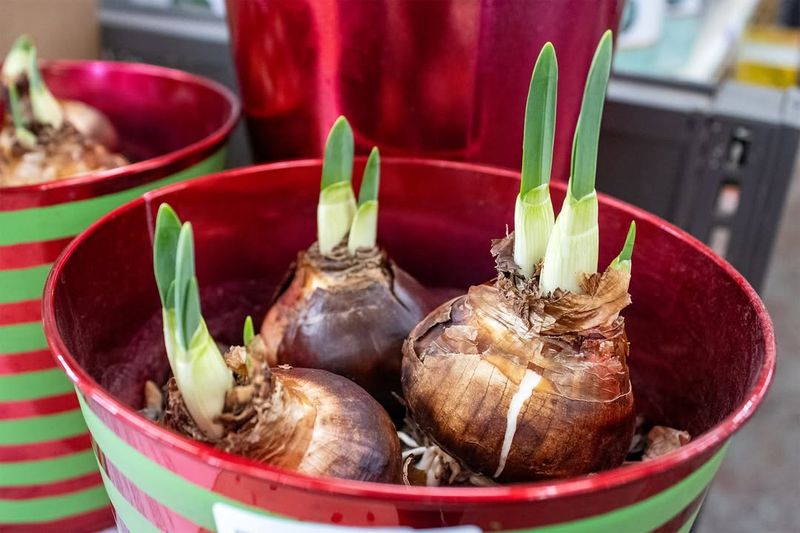 Using Heavy, Stable Containers