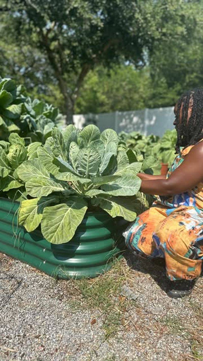 Planting Early Enough For Roots To Establish Before Cold Sets In
