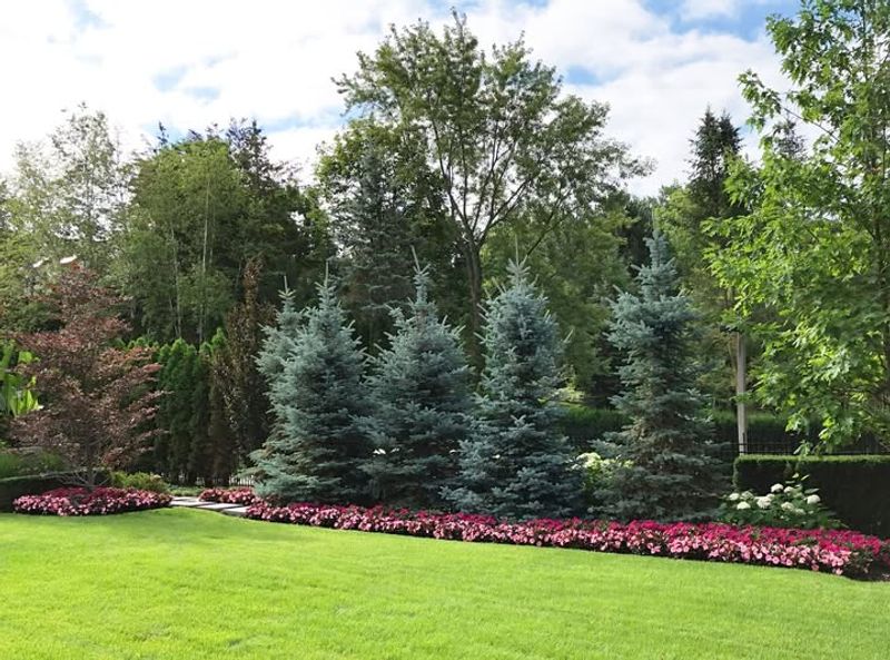 Layering Plants by Height for Visual Interest