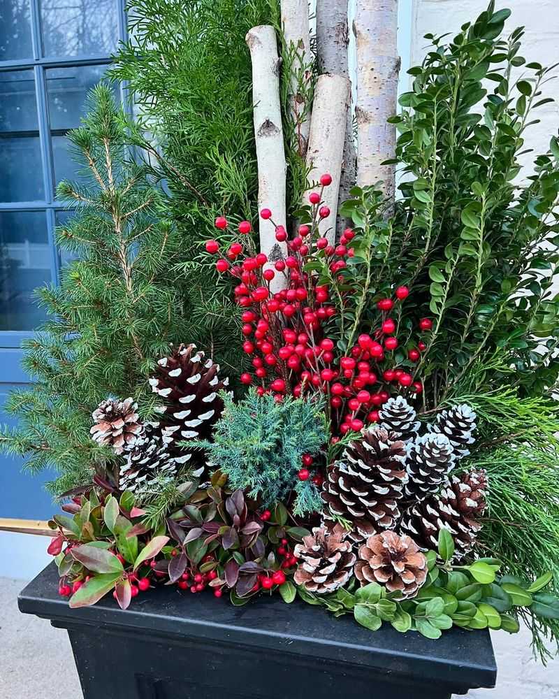 Colorful Berry Branches For Winter Pops